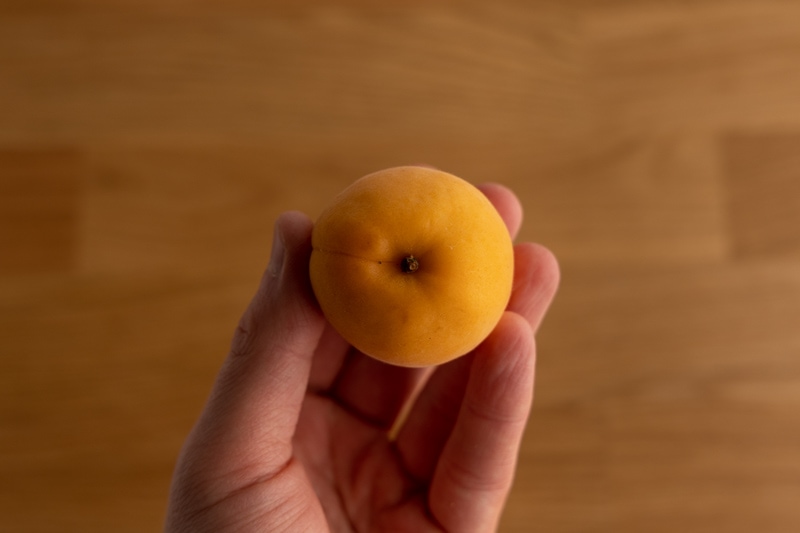 Apricot in hand