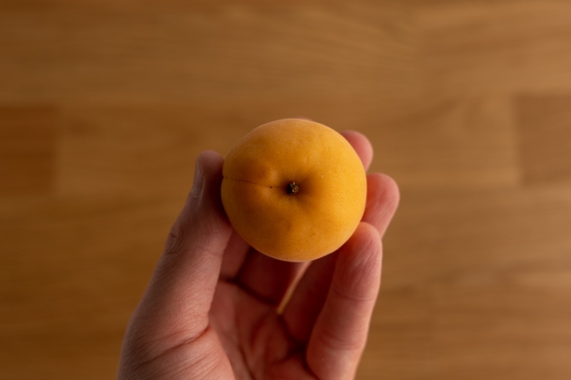 Apricot in hand