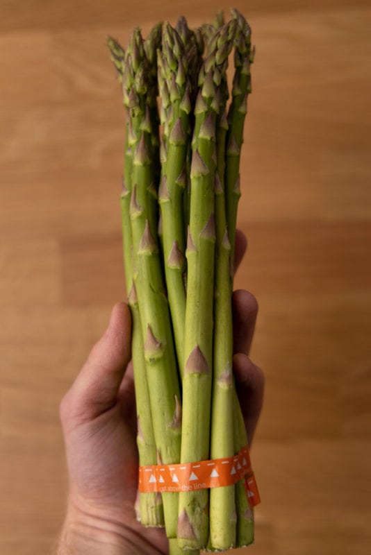 Asparagus bunch in hand