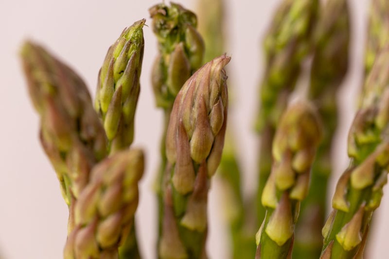 Asparagus spears