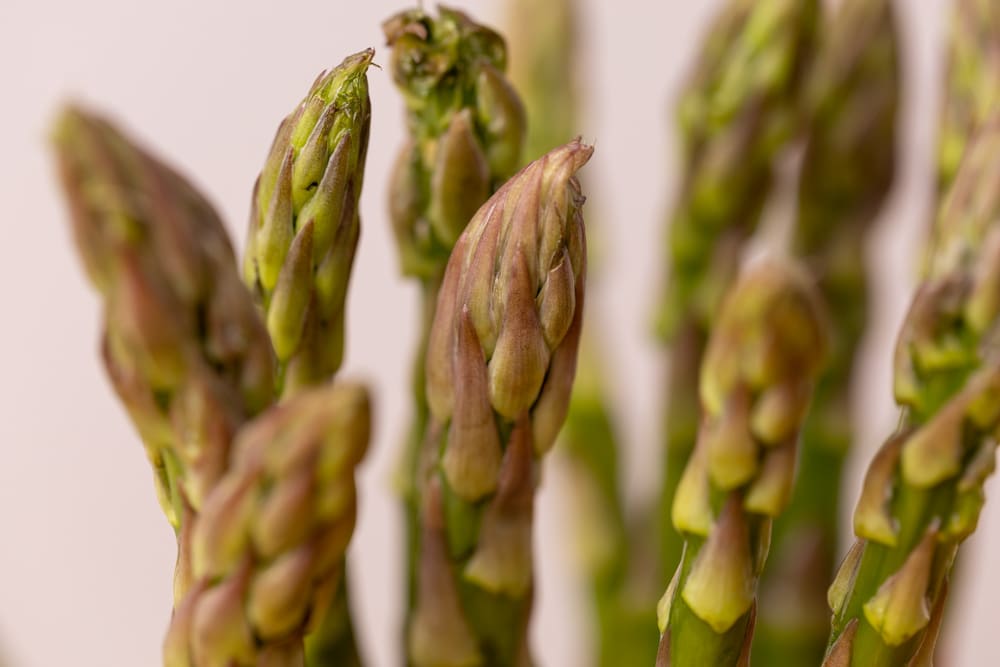 How Long Does Asparagus Last And What S The Best Way To Store It