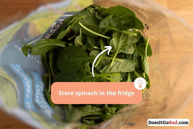 Bag of spinach 