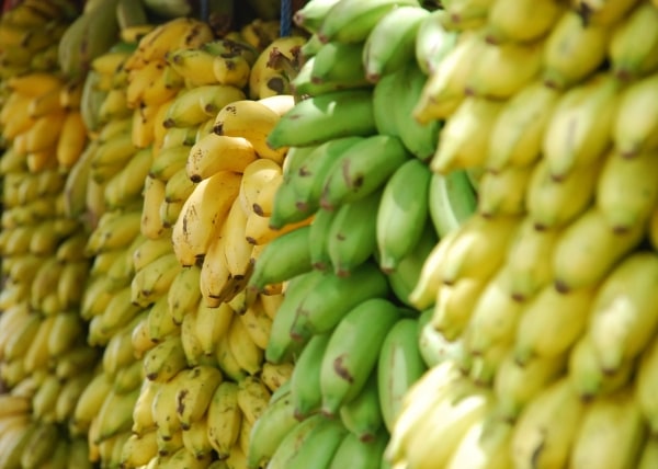 A bunch of bananas on sale