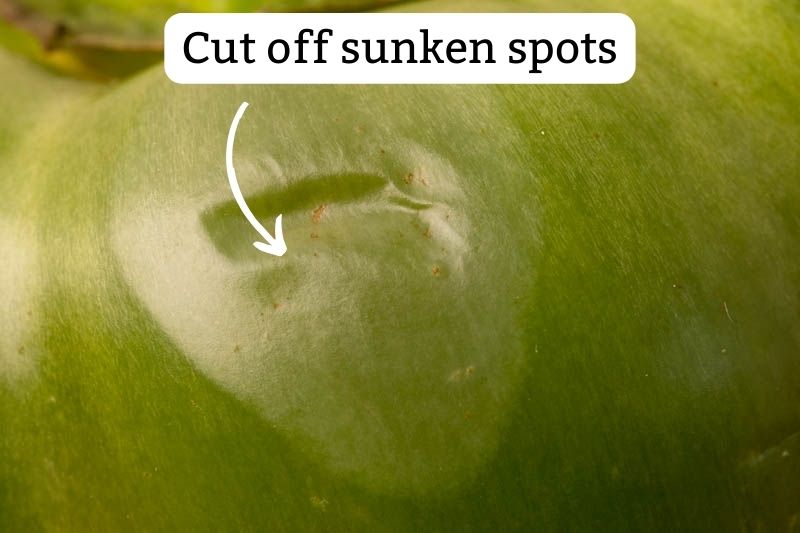 Bell pepper: sunken spot