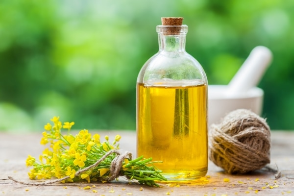 Bottle of  canola oil and repe flowers on a table