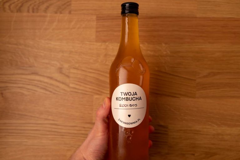 Bottle of kombucha in hand