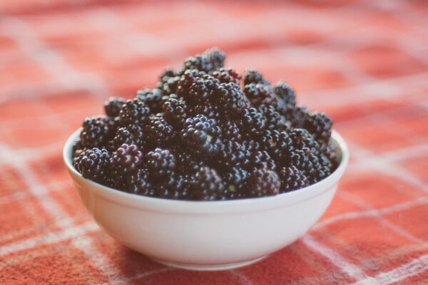 Bowl of blackberries