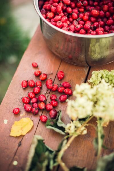 Bowl of cranberries