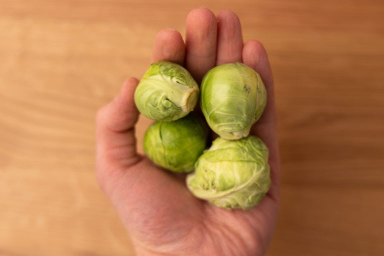 Brussels sprouts in hand
