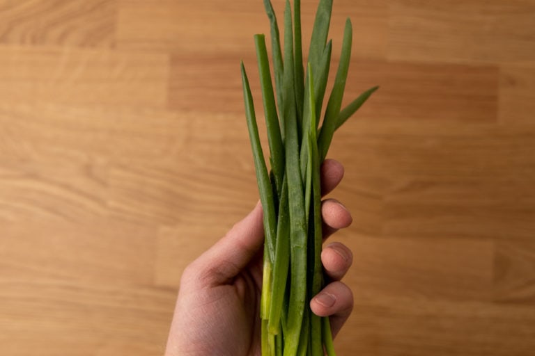 How to Store Chives to Keep Them Fresh for Longer?