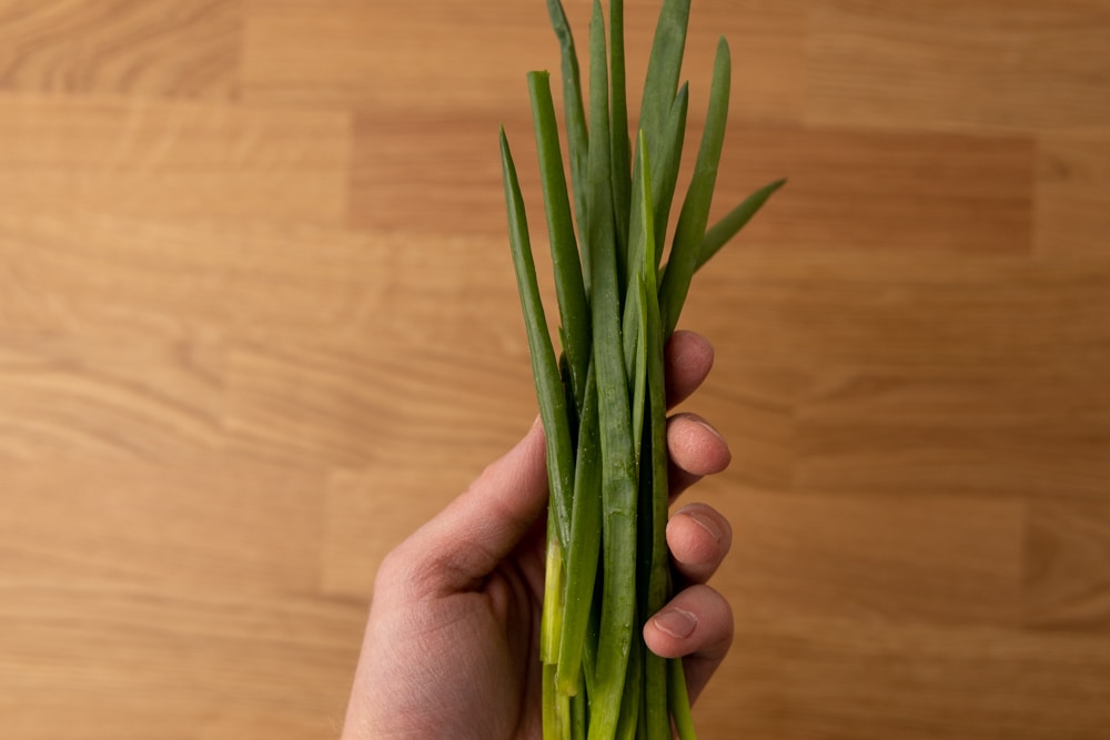 Bunch of chives