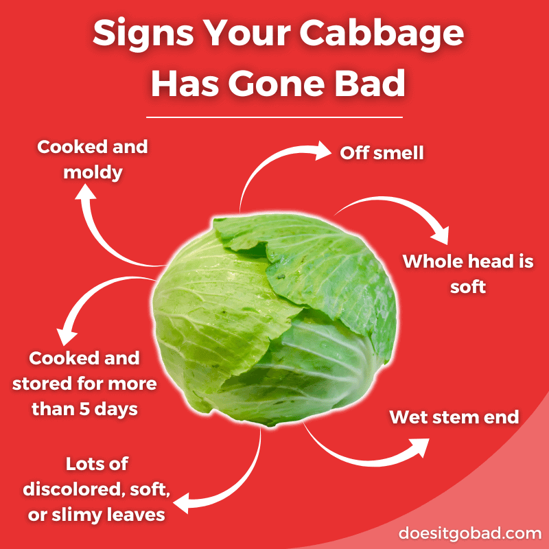 Cabbage spoilage signs graphic