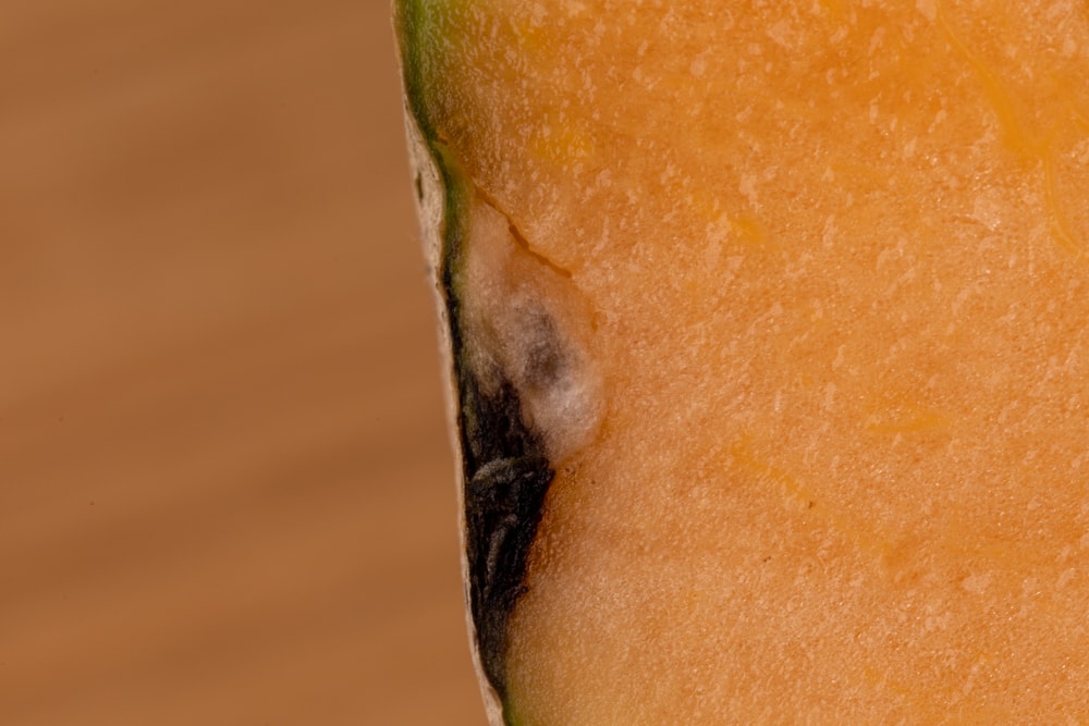 Cantaloupe black area under the rind