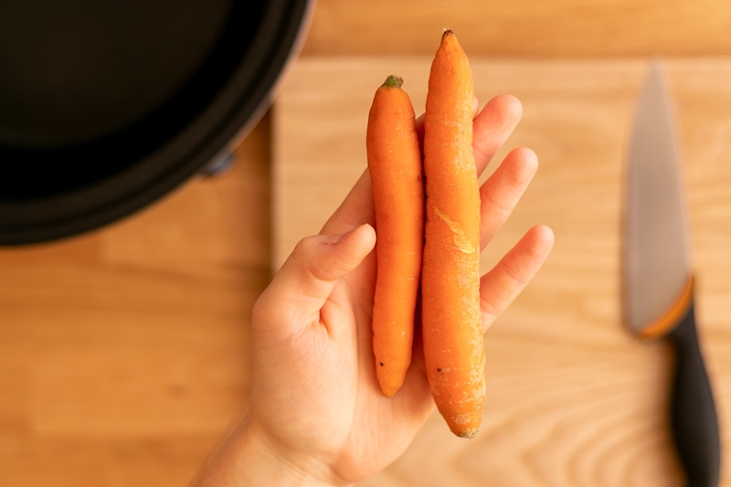 Carrots in hand