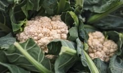 Cauliflower closeup