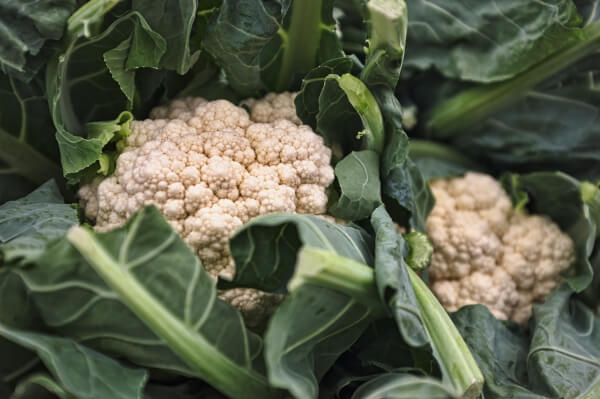 Cauliflower closeup