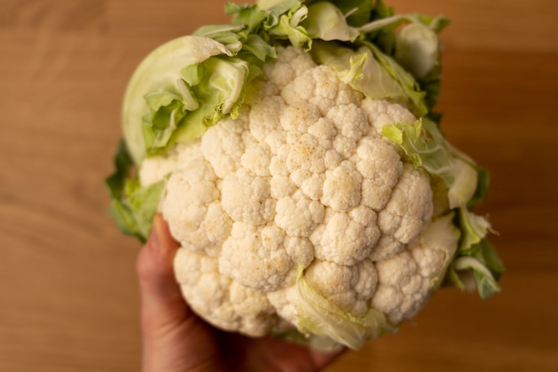 Cauliflower head in hand