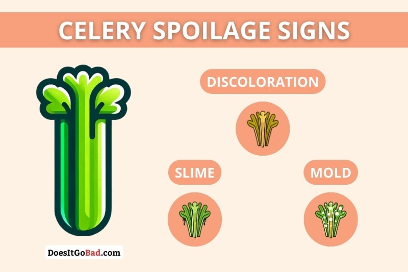 Celery spoilage signs