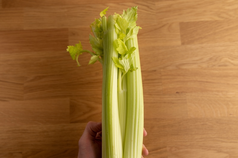 Celery head in hand