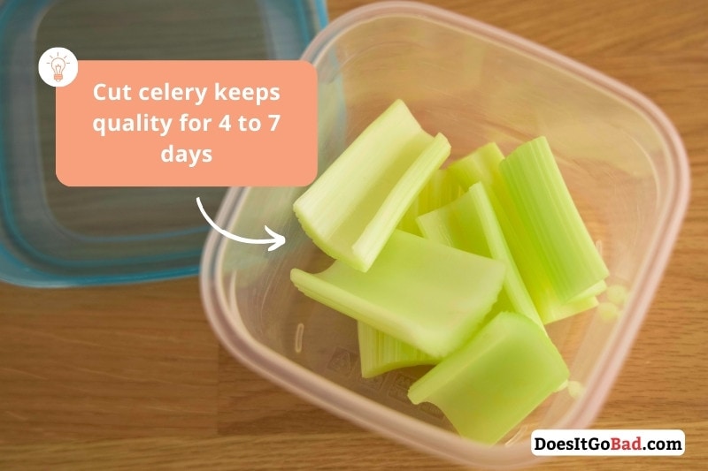 Celery in airtight container