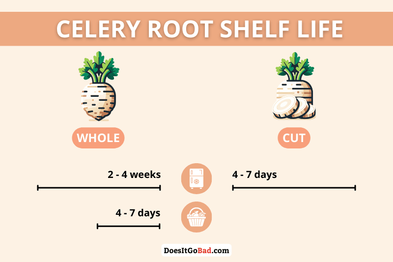 Celery root shelf life