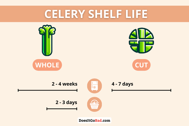 Celery shelf life