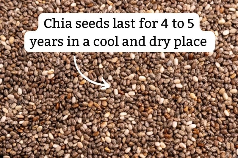 Chia seeds shelf life