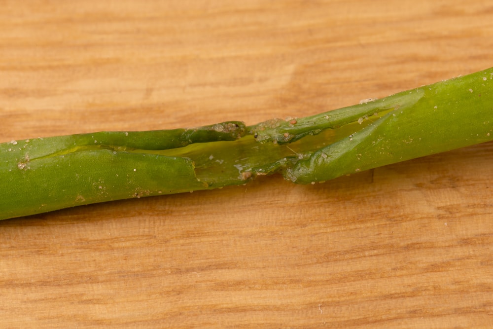 Chives damaged stalk