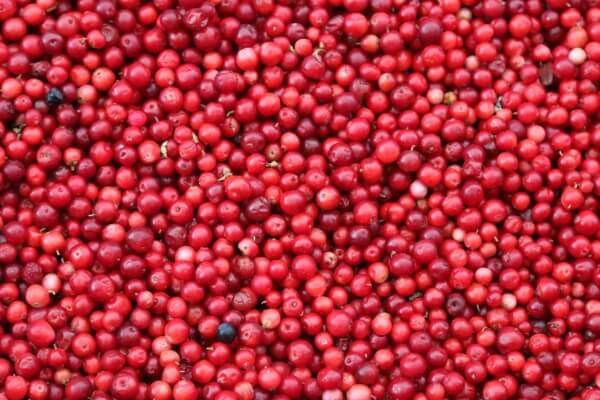 Do Cranberries Go Bad?