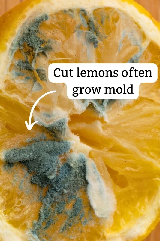 Cut lemons grow mold