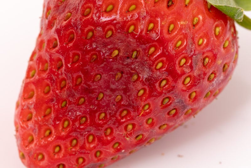Discolored strawberry