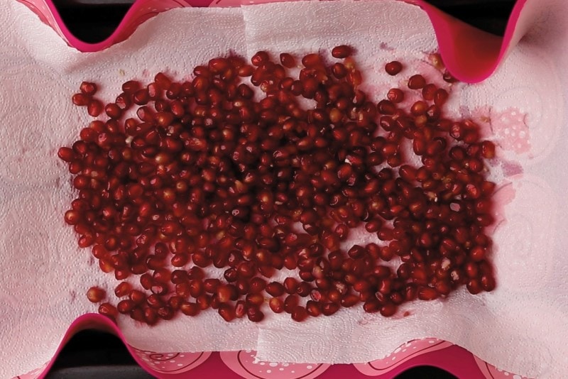 Drying pomegranate seeds on paper towels