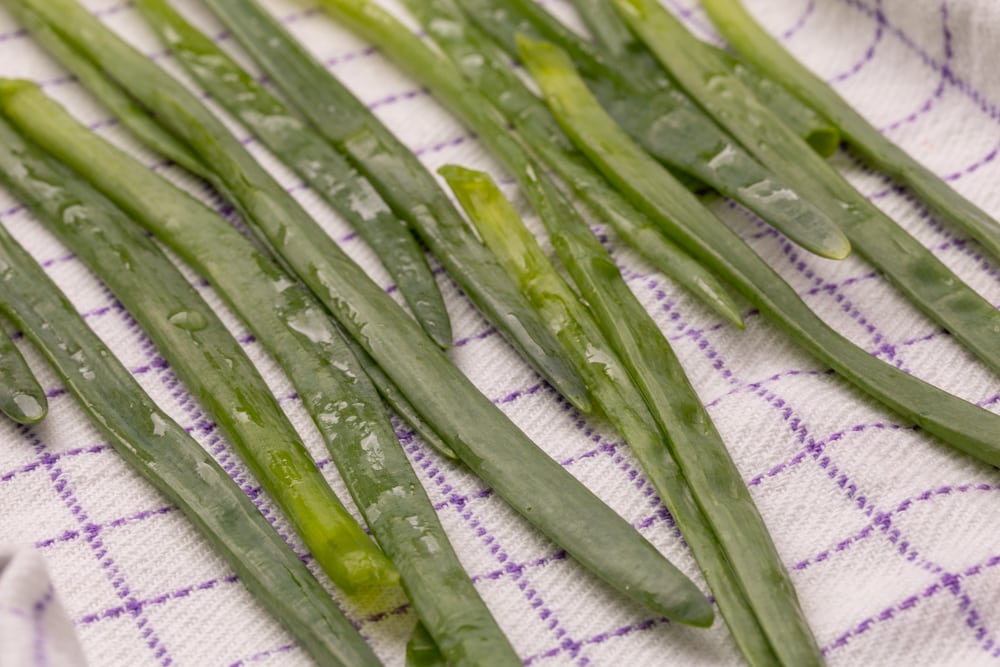 Drying washed chives