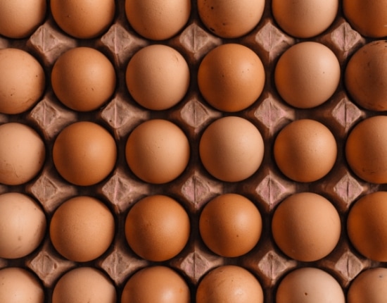 Egg lot in a carton packaging