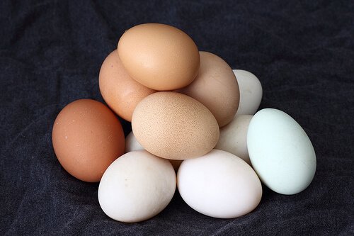 Do Eggs Go Bad?