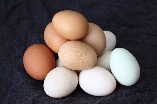 Brown and White Eggs