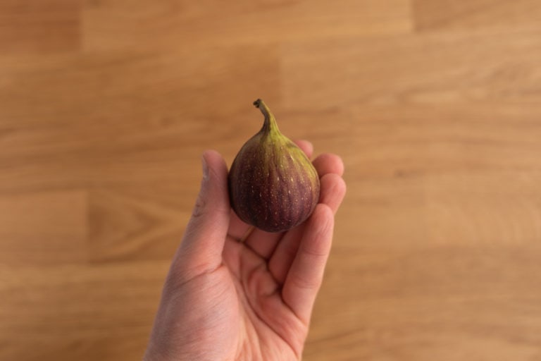 Fig in hand