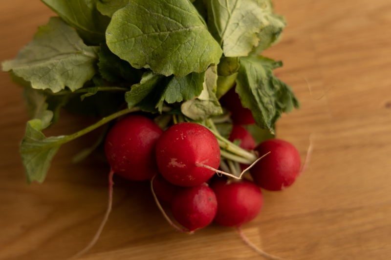 Fresh radishes bunch before prep