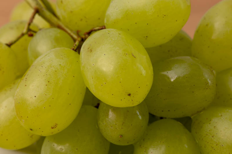 Grapes closeup