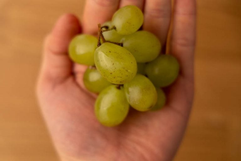 Grapes on palm