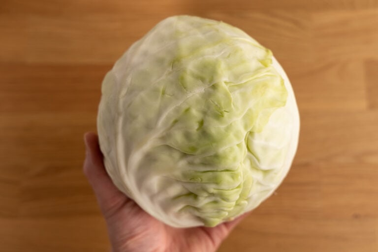 How Long Does Cabbage Last and How to Tell if It’s Bad?