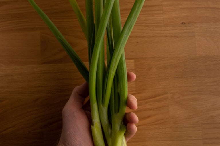 Green onions in hand