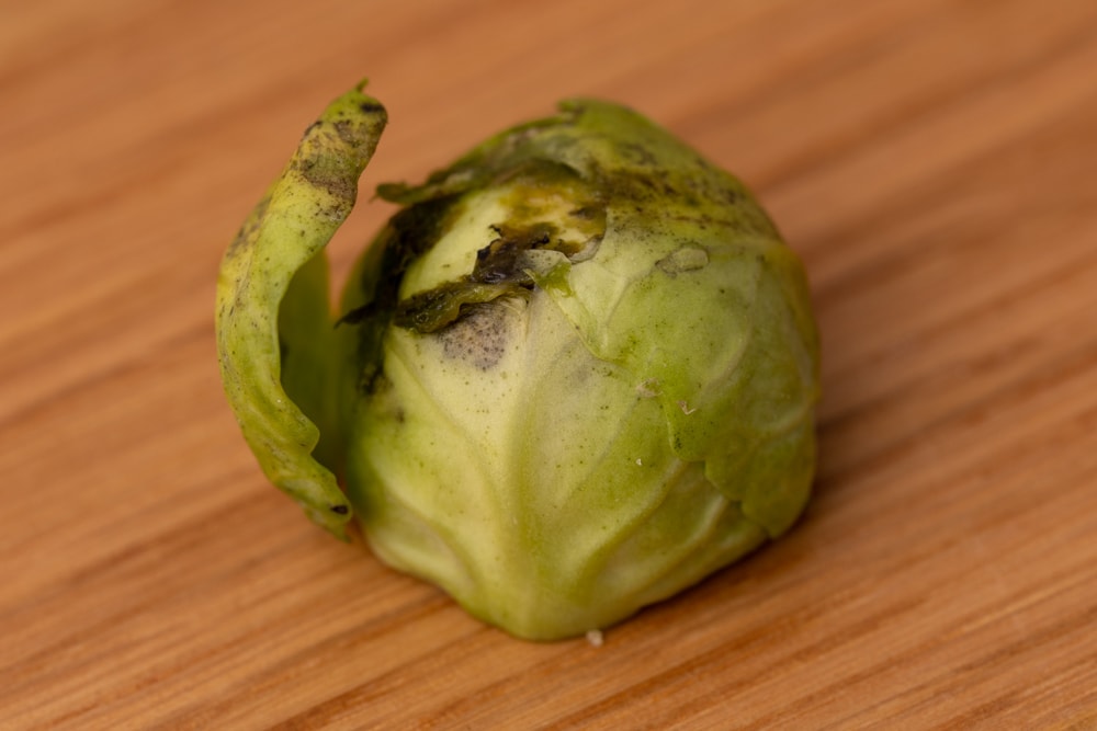 Half rotten brussels sprout leaf