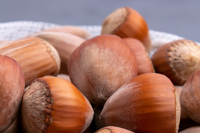 Hazelnuts in a mesh bag closeup