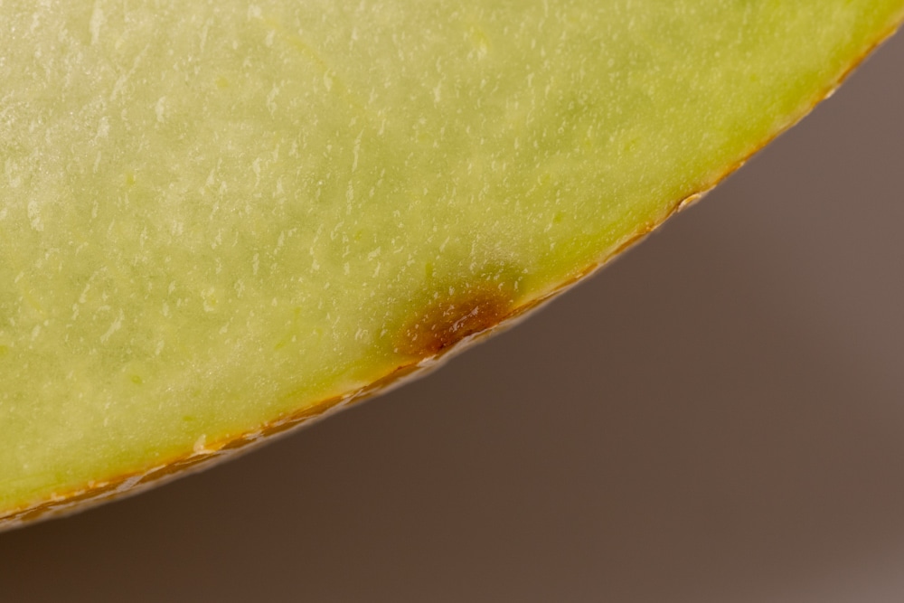 Honeydew: brown spot on the rind