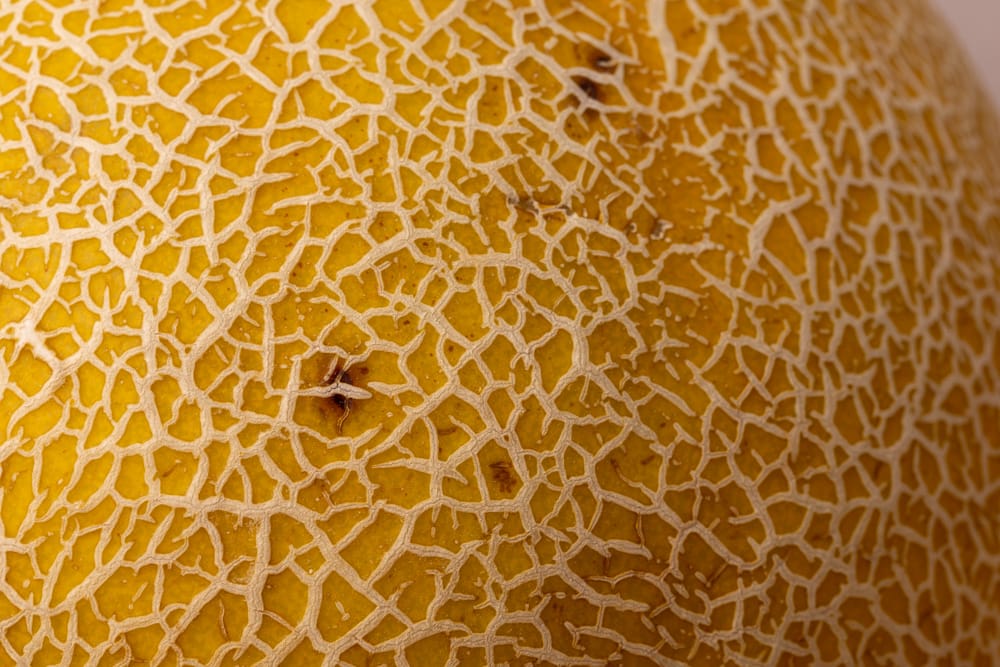 Honeydew: brown spots