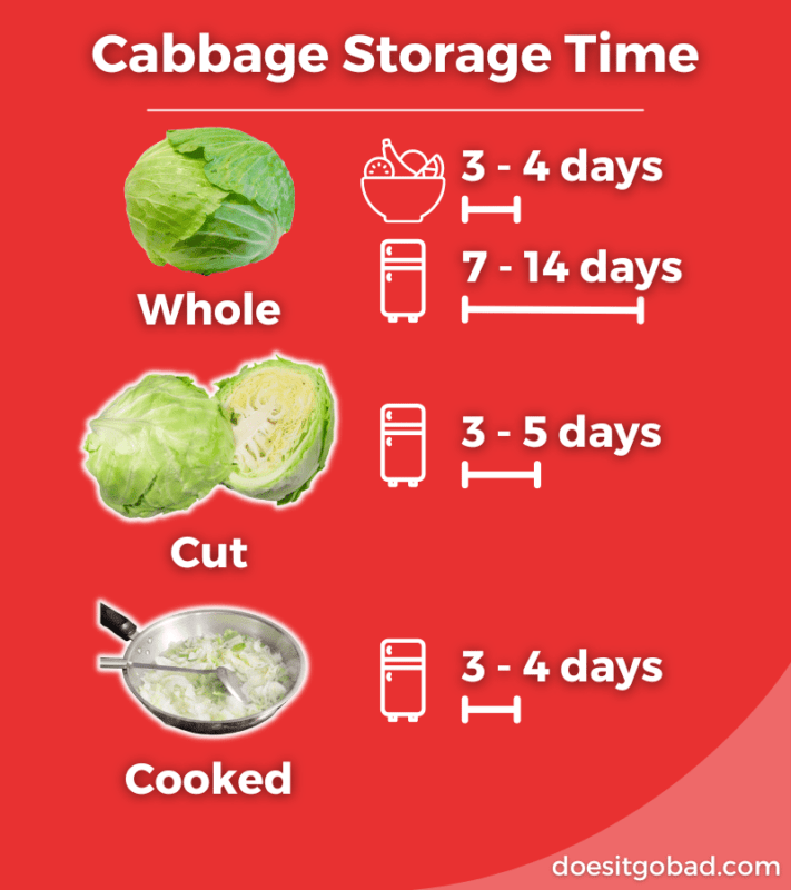 How long cabbage lasts graphic