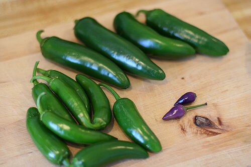 Jalapeños for pickling