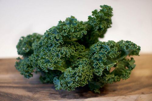 How Long Does Kale Last and How to Tell It’s Bad?