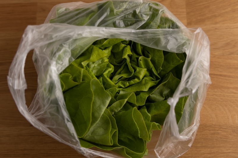 Storing lettuce in a bag